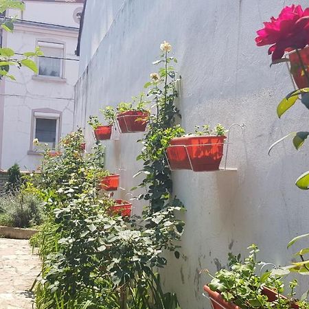 Garden Apartments Belgrade Exterior photo
